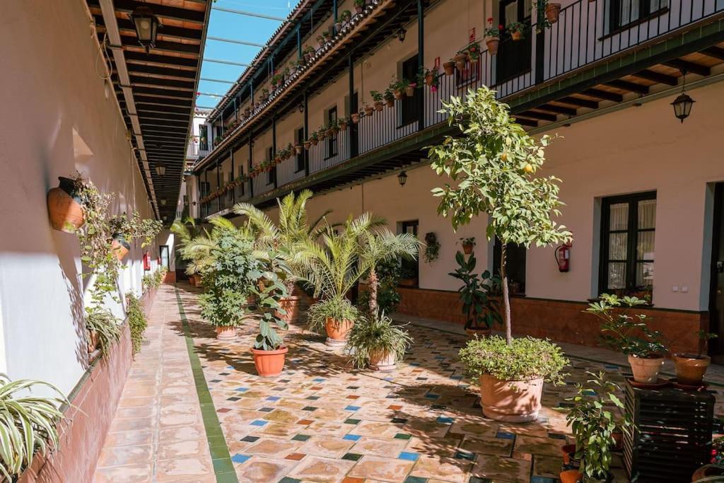 Apartamento Con Encanto En Patio Sevillano Esterno foto